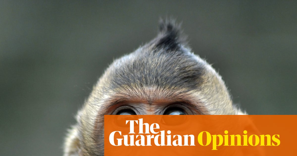 Why would we show an optical illusion to a monkey or a sparrow? To learn how they experience time, of course | Ishan Singhal