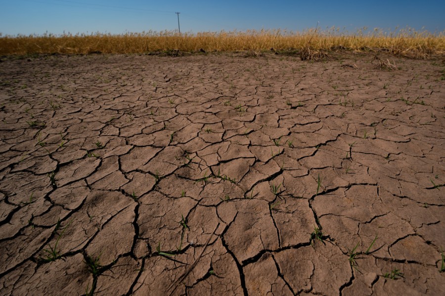 'Mini Dust Bowl' could be forming in the US, expert warns. Will El Niño make it worse?