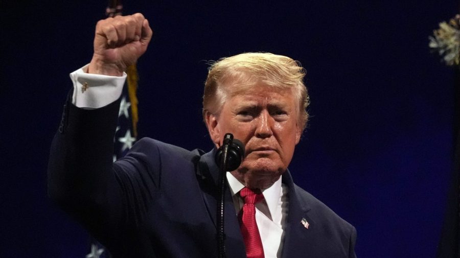 Trump’s growing gang of untouchables