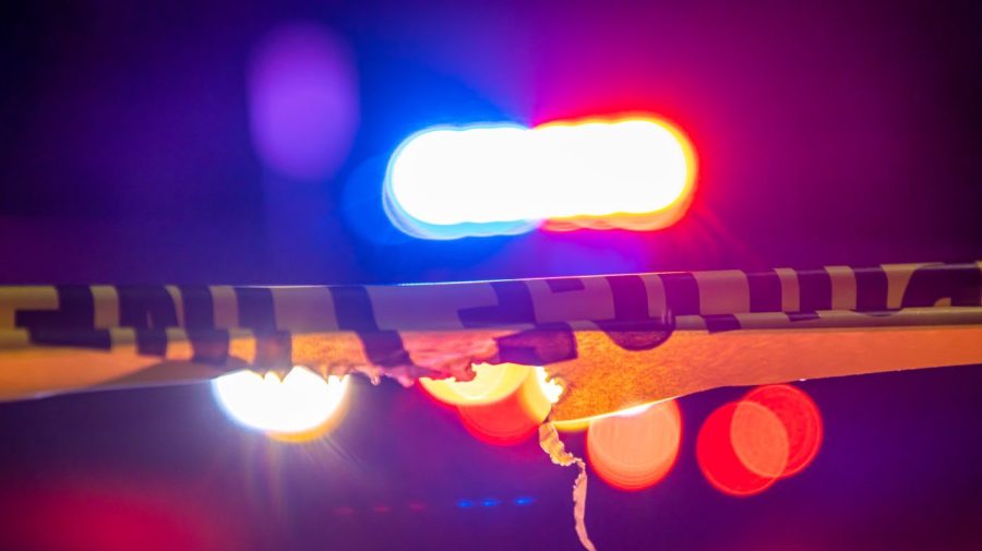 Homicide levels trending lowest in more than a century: Research