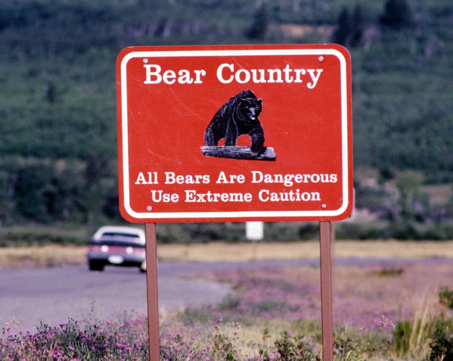 Report details hiker's last moments before apparent fatal bear attack in Glacier National Park