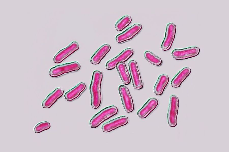 From formula to birds, here are the foodborne outbreaks the CDC is investigating