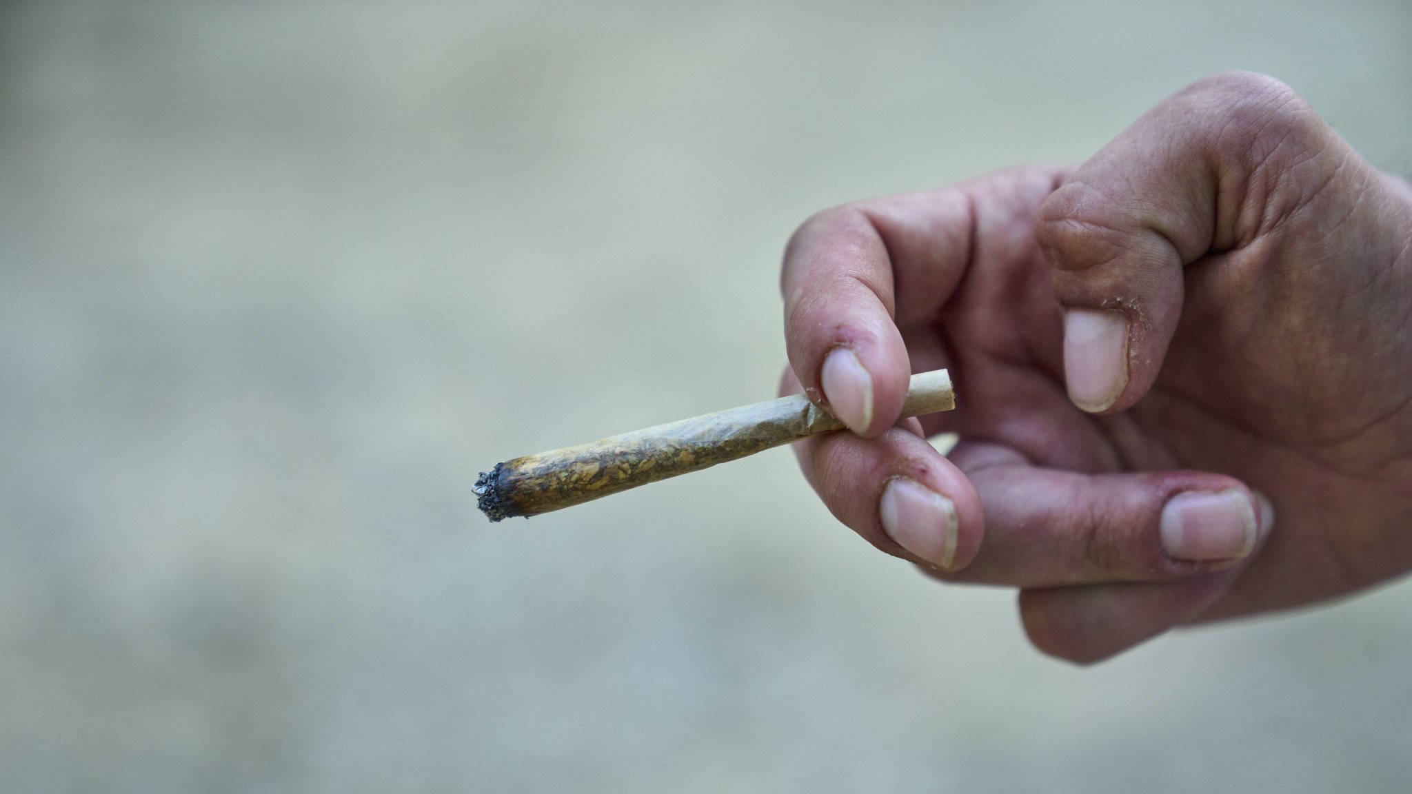 Marijuana still off limits to troops even if federal rules change, Pentagon says