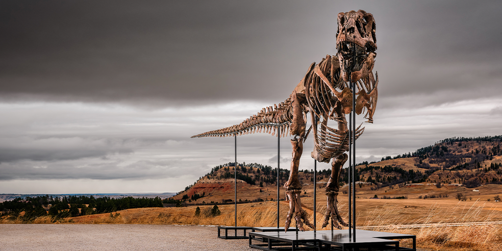 Massive T. rex fossil roars to $50 million sale, becoming one of the priciest ever auctioned
