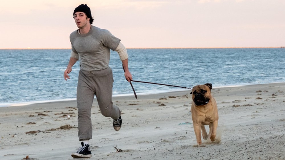 TIFF Announces Star-Studded Gala and Special Presentations, Led by ‘Rocky’ Biopic ‘I Play Rocky’ and Chris Rock’s ‘Misty Green’
