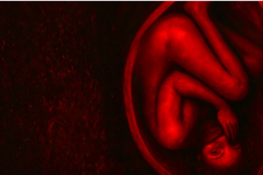 Rosemary Who? Get Ready for Emma’s Baby as ‘Birth’ Seduces Tallifornia Film Fund With ‘Grotesque and Terrifying’ Take on Pregnancy (EXCLUSIVE)