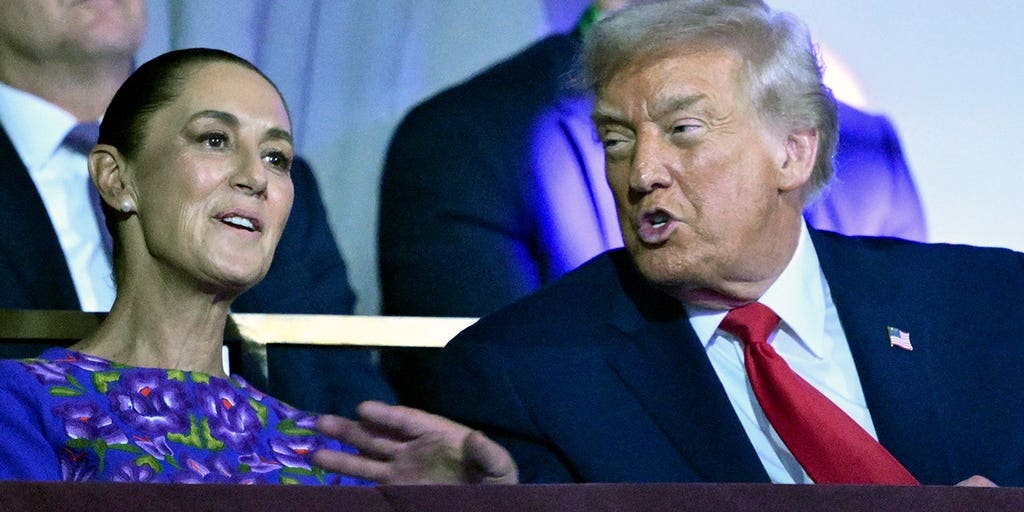 Mexico vows US will pay after ICE fatally shoots illegal migrant who allegedly attempted to ram agent with car