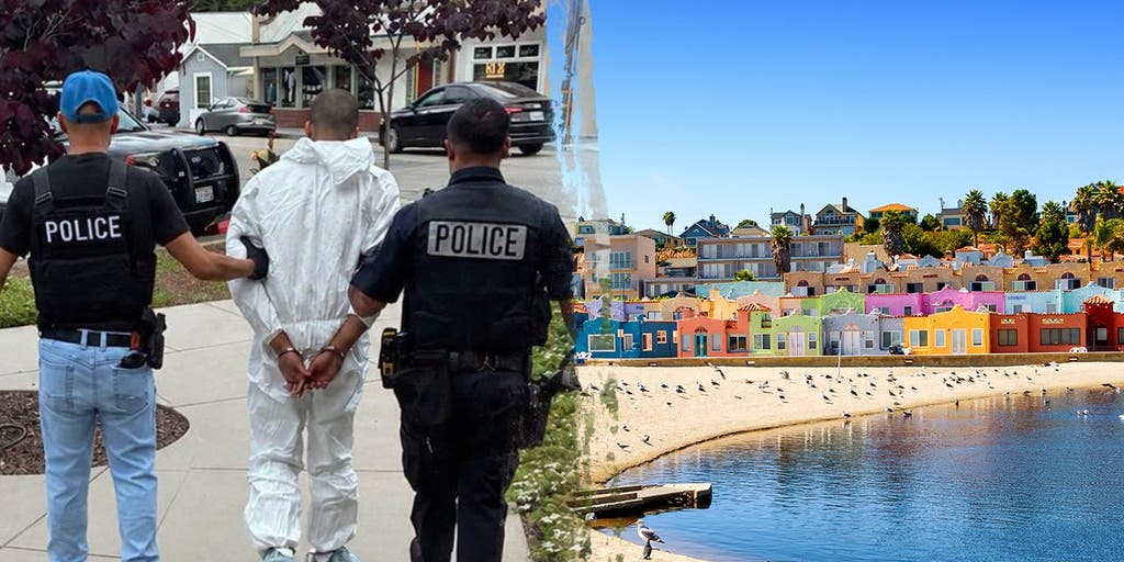 Beloved artist stabbed, killed in 'random' beach town daytime attack as police arrest 19-year-old suspect