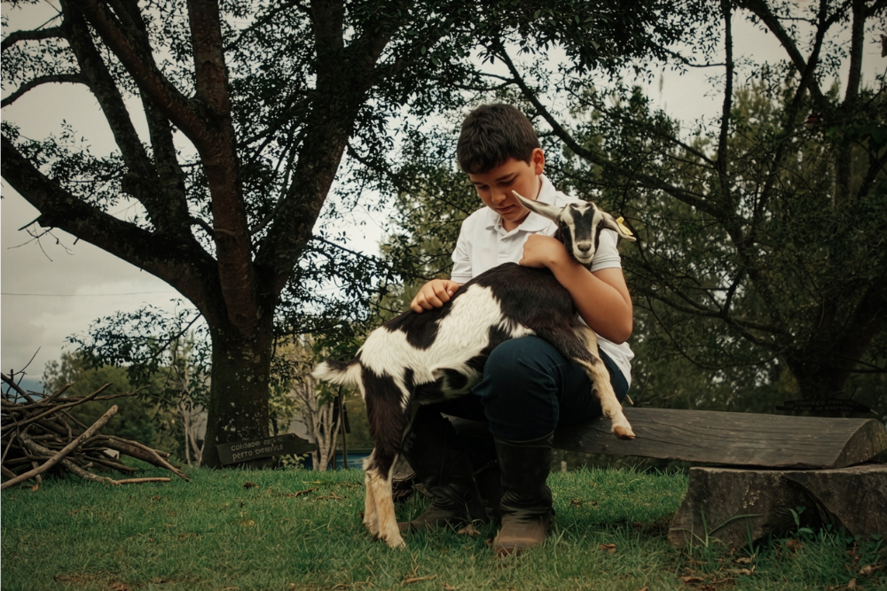 Fantastic Lab Winner ‘We Won’t Let the Goat Die’ Bolstered by New Partners, Santiago Durán (EXCLUSIVE)