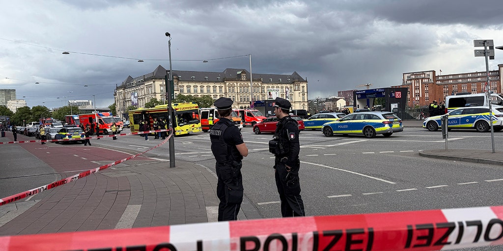 New Germany sex-crime figures reignite migration fight as exploitation probe expands
