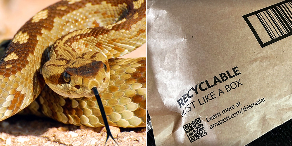 California toddler bitten by rattlesnake hiding beneath Amazon package amid active snake season