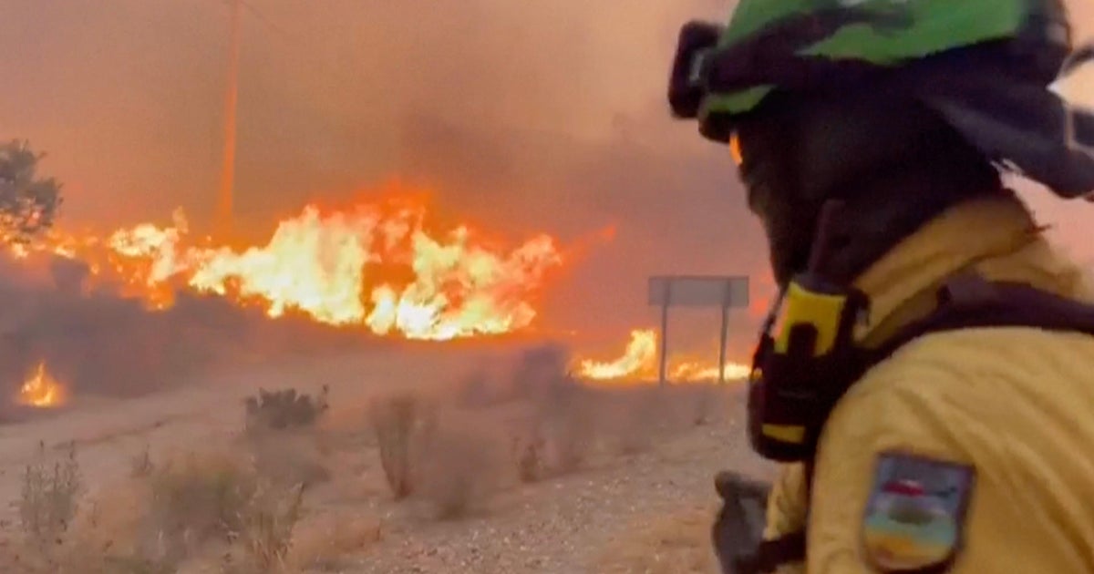 At least 11 killed by wildfire in southern Spain
