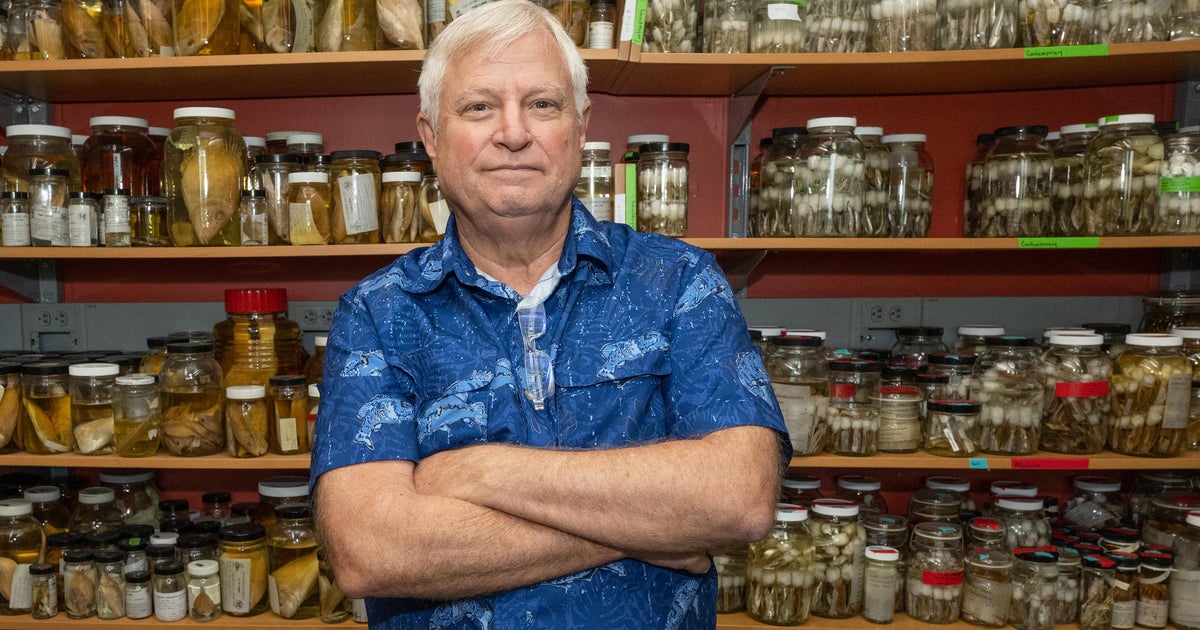 U.S. marine biologist shot dead in the Philippines, companion injured