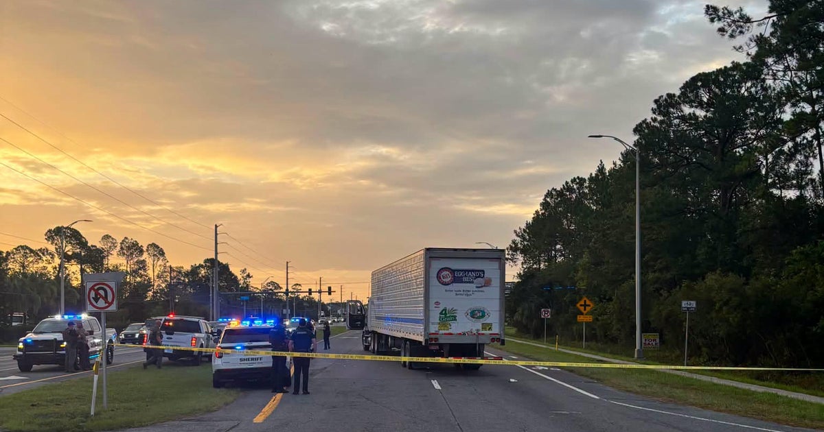 Mexican man killed by truck after ICE encounter was on vacation, officials say
