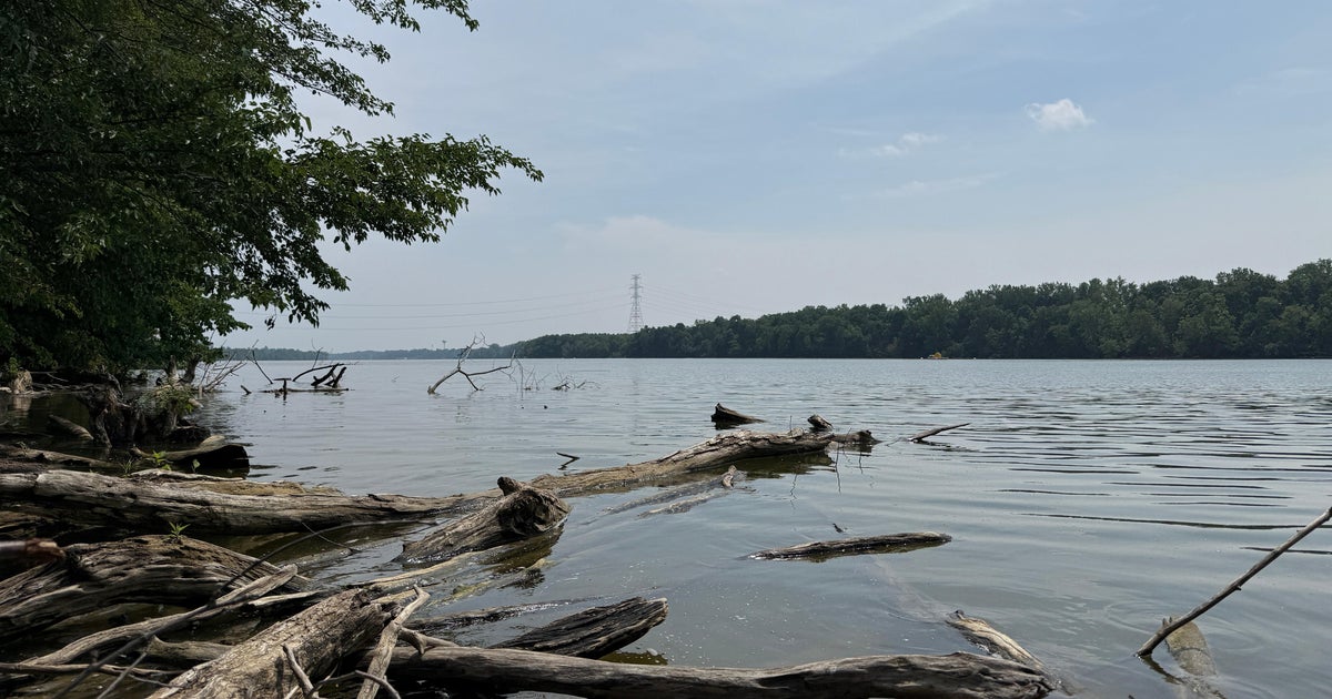 5 drown in river in Ohio as child runs for help