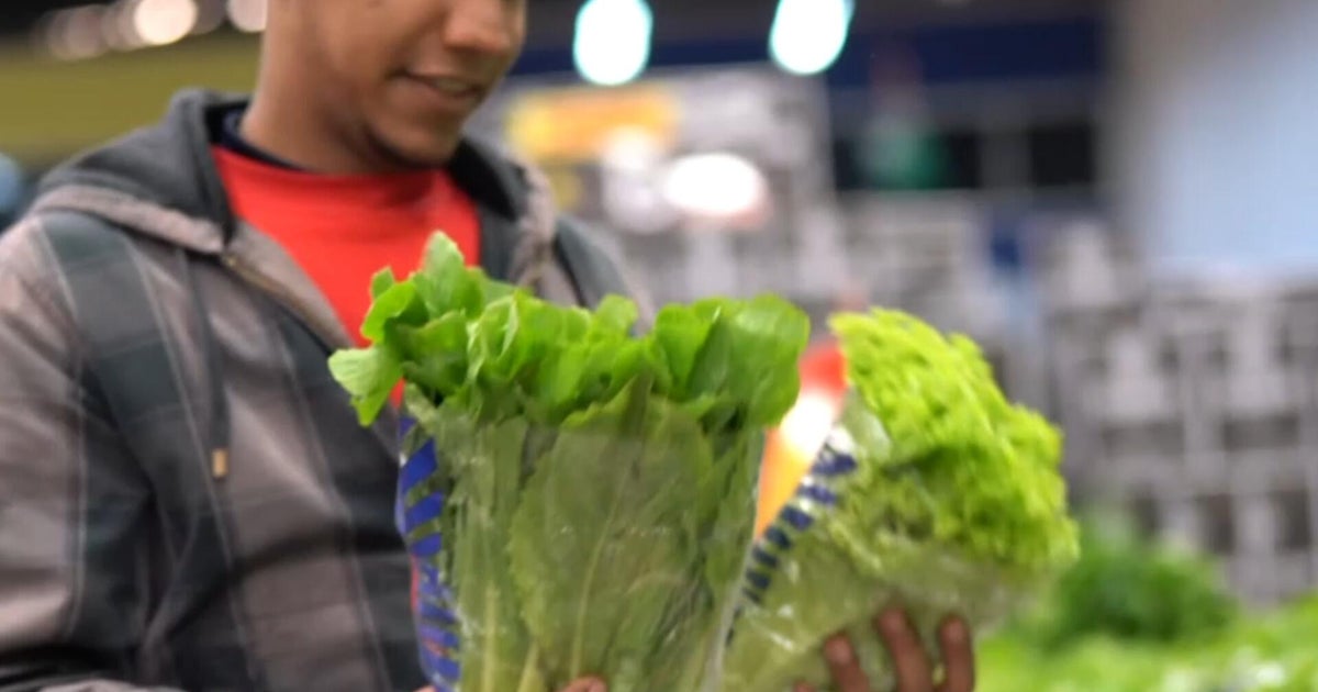 FDA says lettuce still likely source of cyclospora outbreak despite false positive test