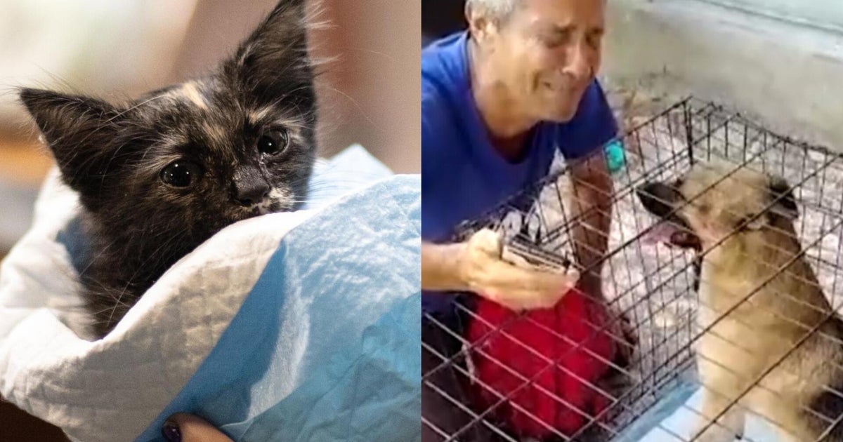 Venezuelans reunite with pets rescued by volunteers after deadly earthquakes
