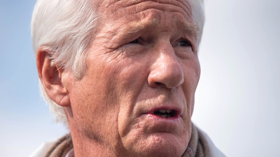 Richard Gere: Trump 'a rogue personality who's destroyed so much'