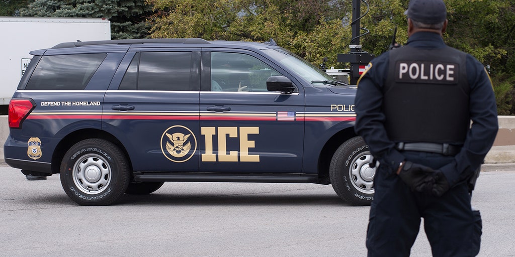 Trump admin plans new ICE holding facility near Louisiana deportation flight hub