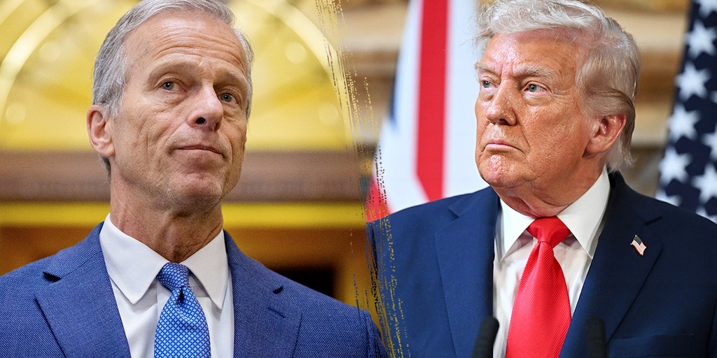 Trump demands Thune keep Senate in session until SAVE America Act passes