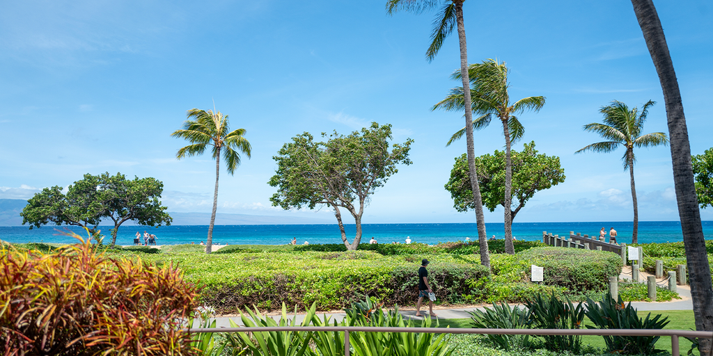 California family members claim they were attacked at luxury Maui resort during violent melee