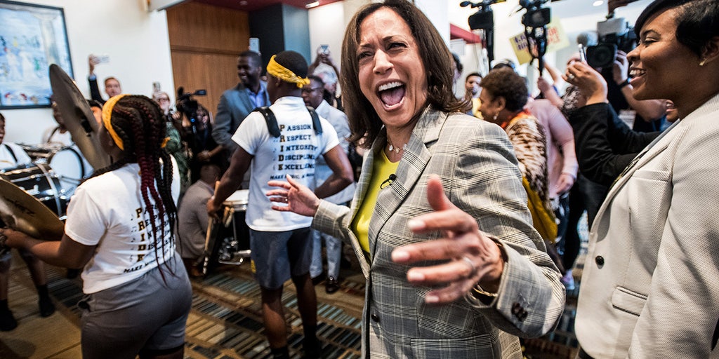 Kamala Harris is the 'fairly obvious' 2028 presidential frontrunner, Democratic insiders say