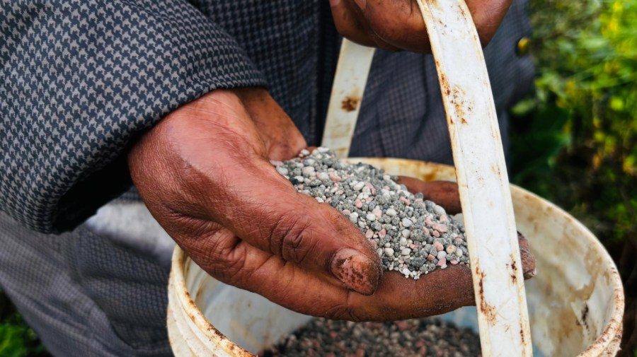 The Strait of Hormuz impasse should reopen the debate on agricultural subsidies