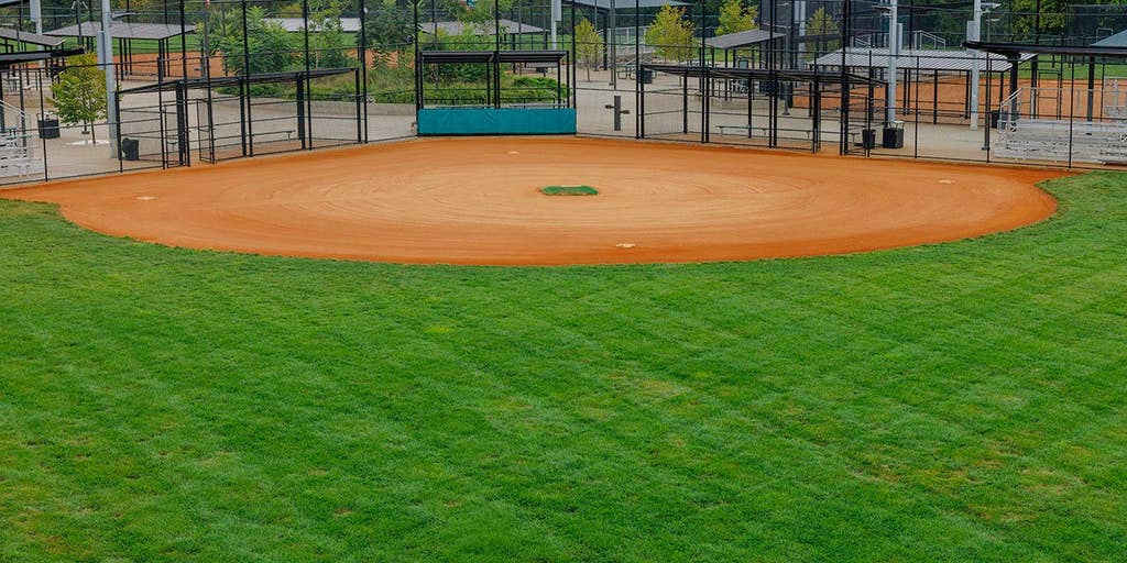 Vegas Little League president accused of spending league money on strip clubs and erectile dysfunction meds