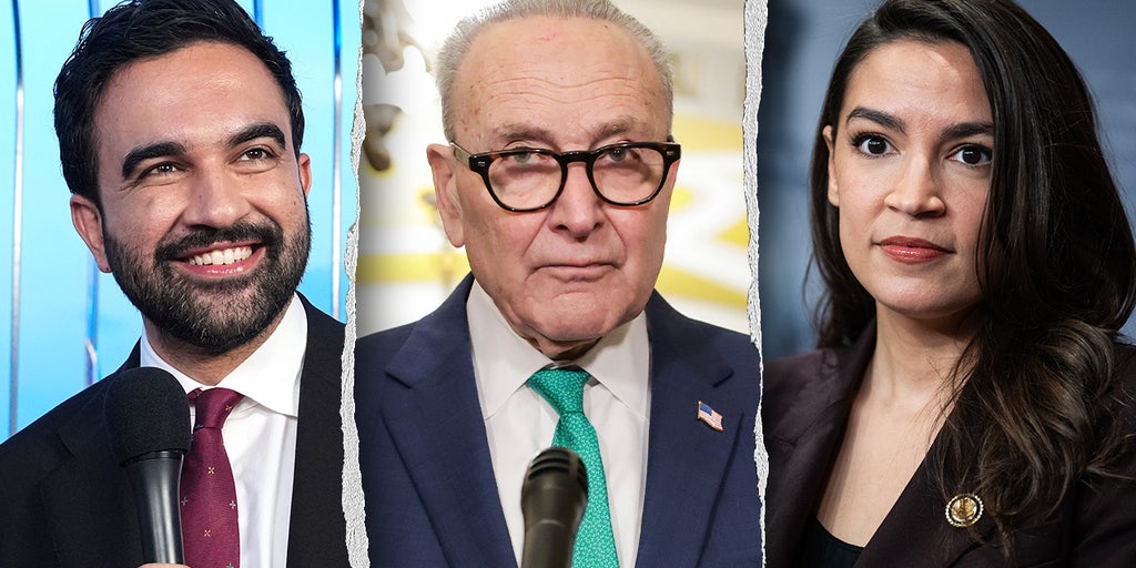 LIZ PEEK: Democrats’ affordability scam collapses in states they actually run
