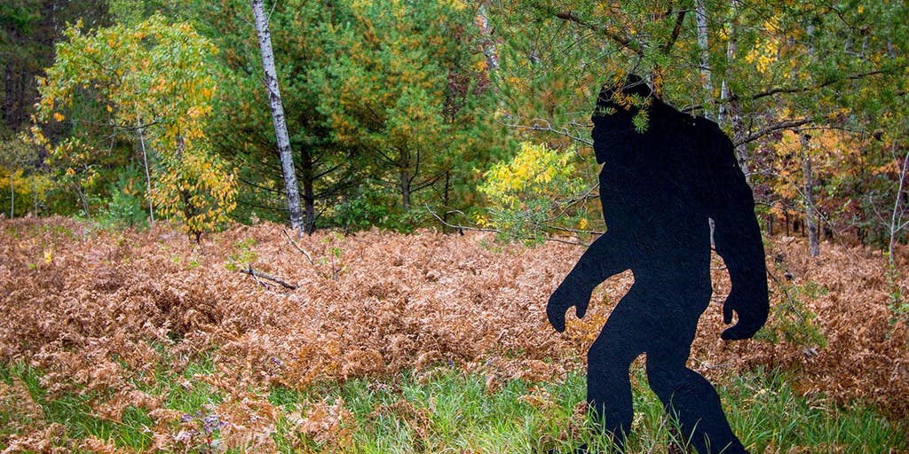 Witness recounts Fourth of July weekend Bigfoot sighting in Connecticut, says 'there were no boobs'