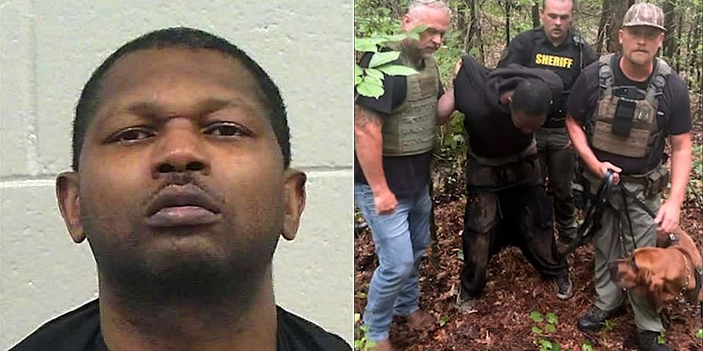 Bloodhound K-9 unit helps bring Georgia manhunt to end with arrest of suspect accused of shooting woman