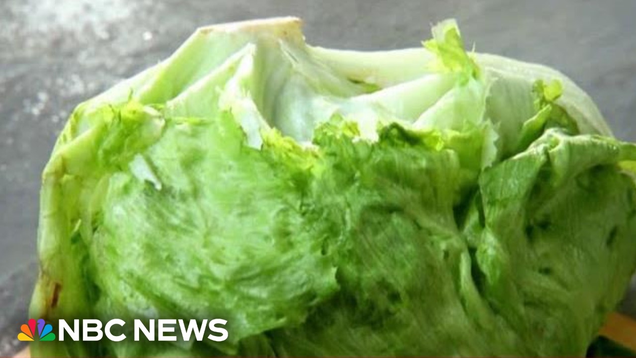 Iceberg lettuce eyed in parasite outbreak