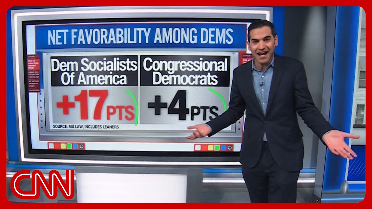 The DSA Is Only Using the Democratic Party
