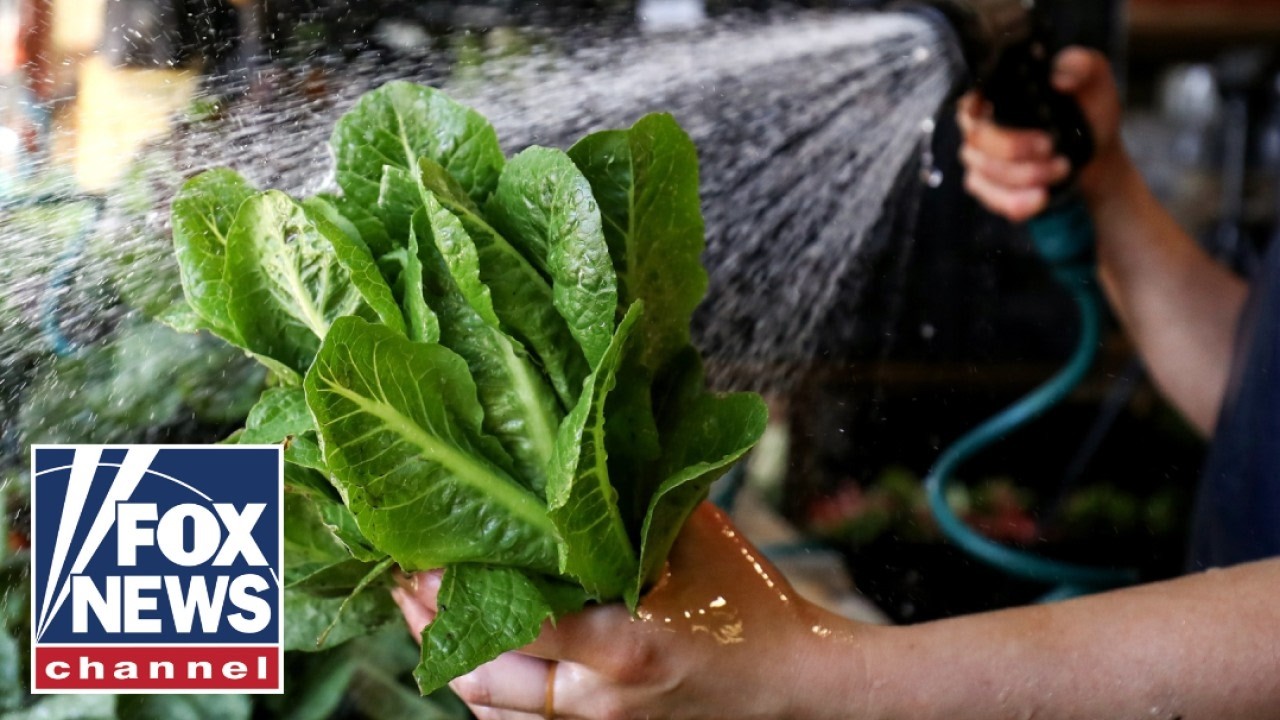 FDA DOUBLES DOWN on contaminated lettuce outbreak despite false positive