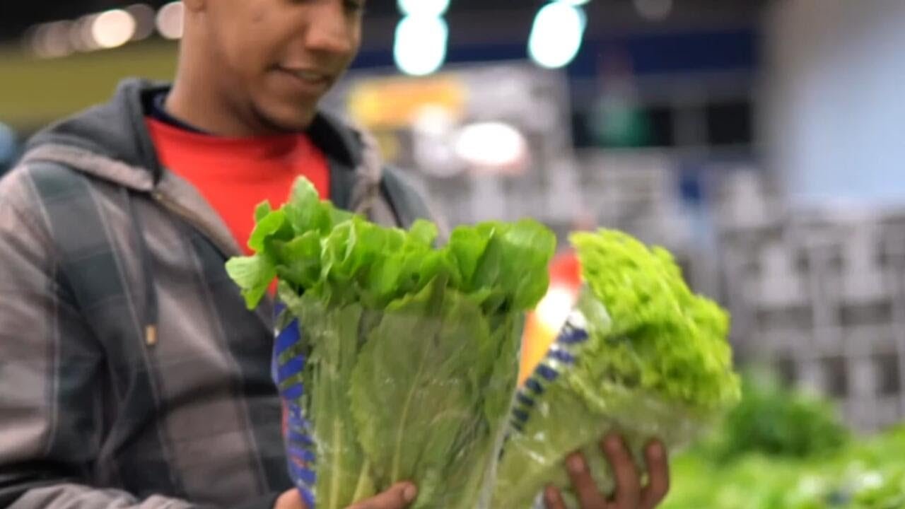 FDA says lettuce still likely source of cyclospora outbreak despite false positive test