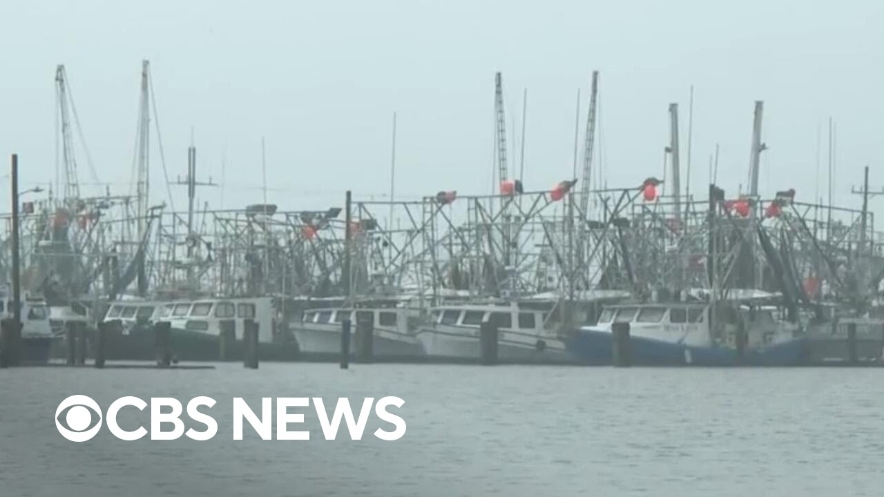 Tropical Storm Bertha closes in on Gulf Coast, expected to bring major flooding