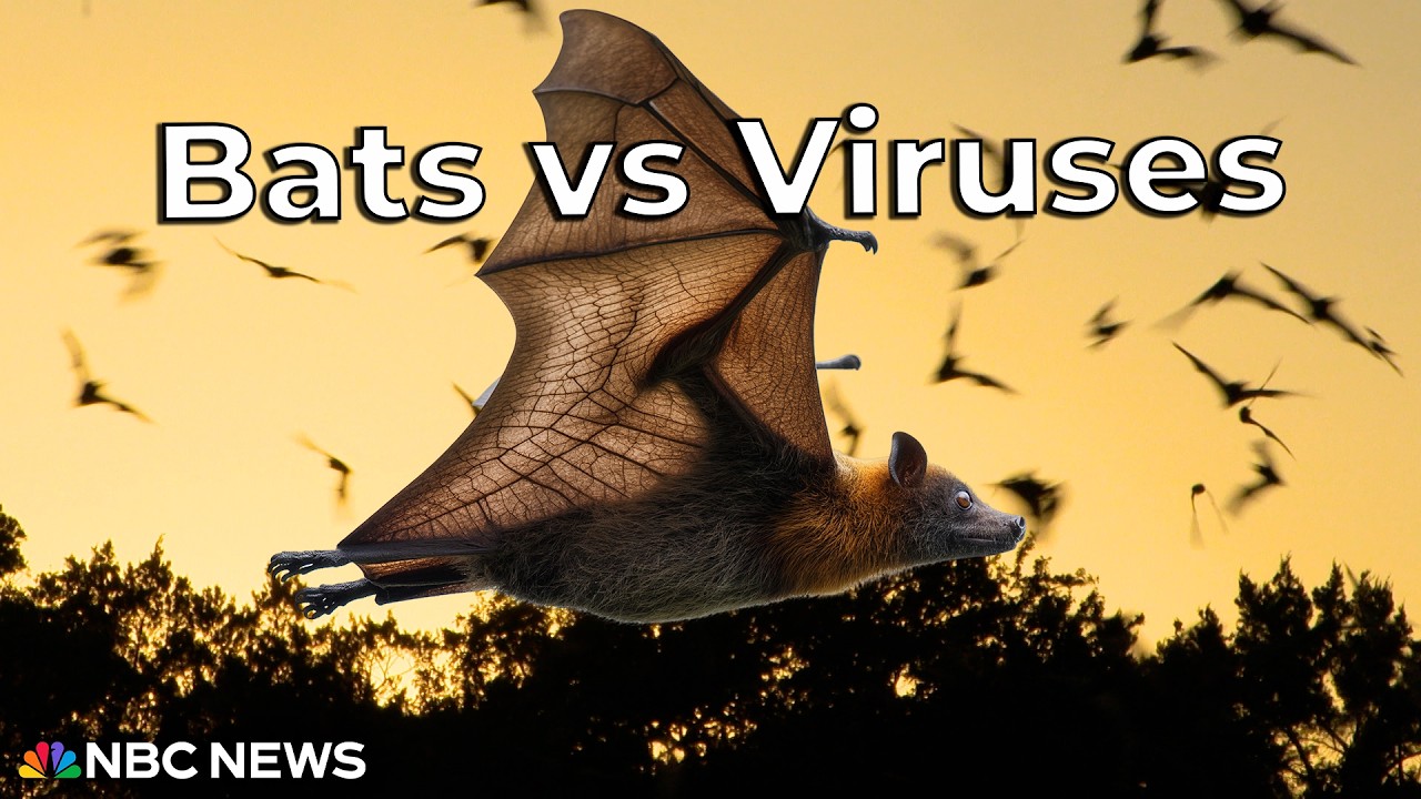 Beats Can Beat Viruses?! What’s Going On?