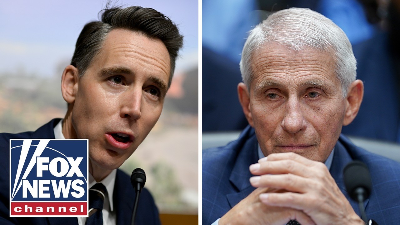 ‘YOU GOT RICH!’: Hawley EXPLODES while Fauci sits in silence