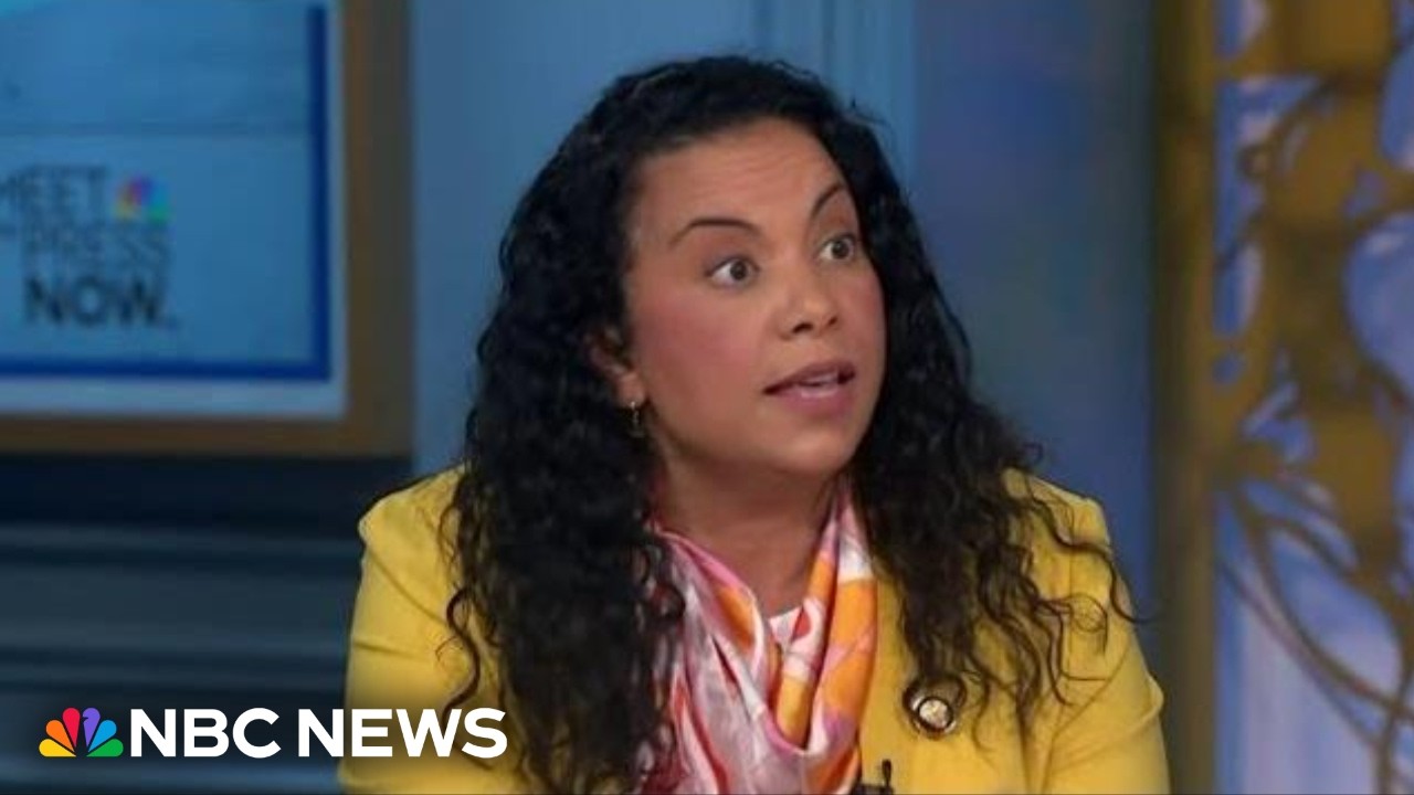 ‘We need to abolish and replace ICE,’ says progressive Democrat after deadly shootings