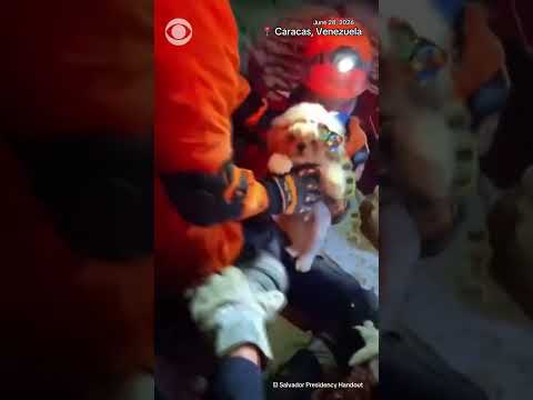 Puppy Rescued from Rubble After Caracas Earthquakes