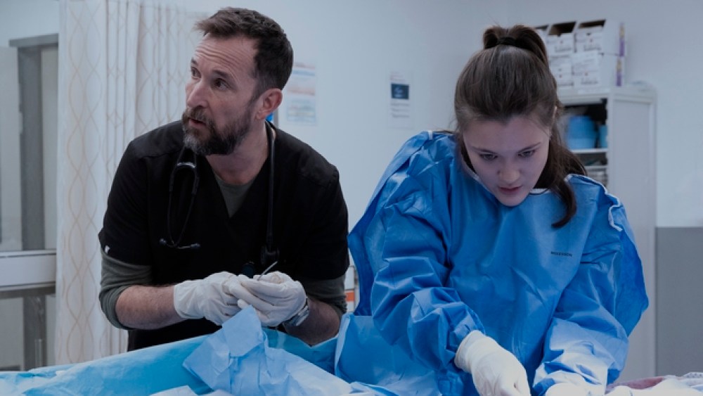 ‘The Pitt’ Leads Emmy Nominations; HBO Max is Tops Among Platforms as Netflix, Apple TV Also Pace the Race