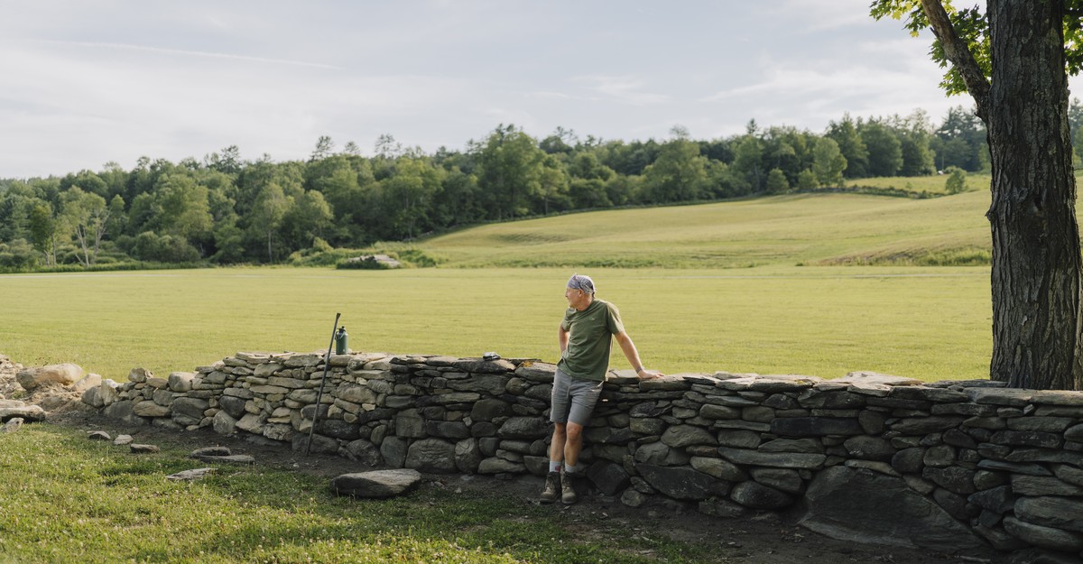 The Beauty of a Stone Wall