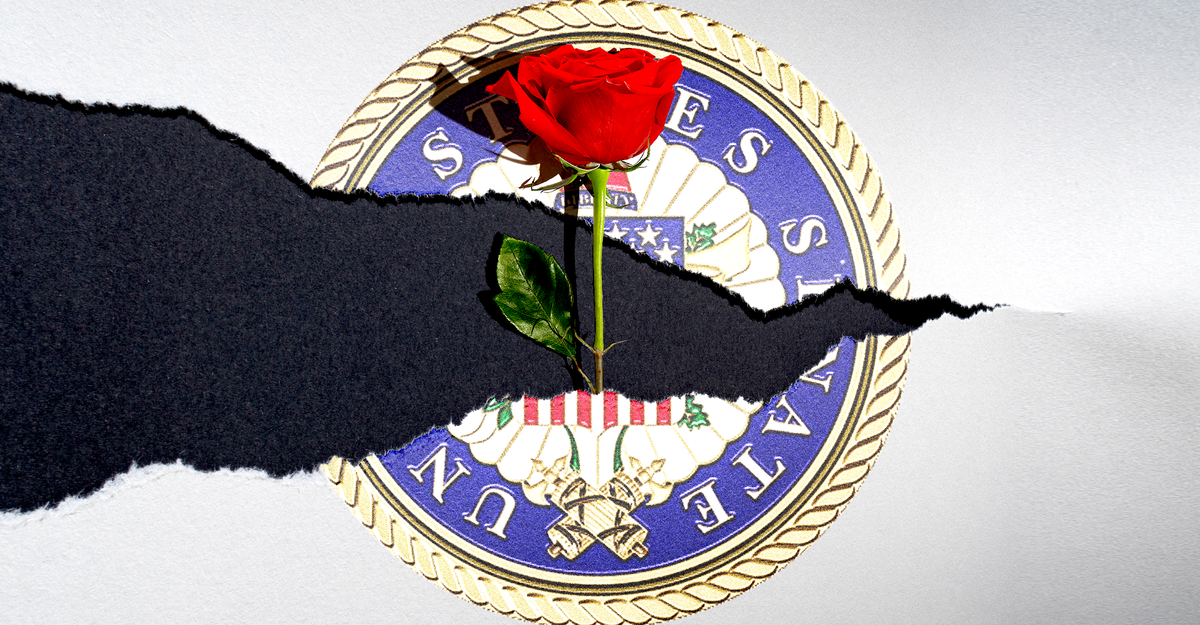 The DSA Isn’t Wrong About Everything