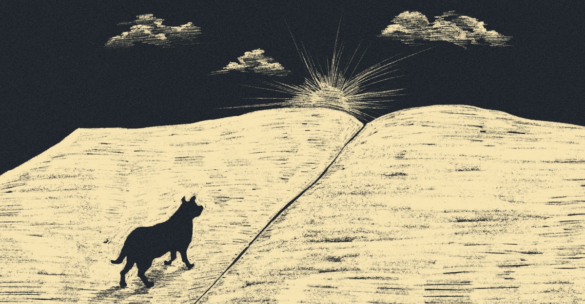 Why Animal Narrators Are All the Rage