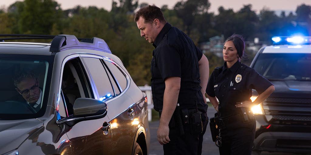 Tennessee woman accused of turning traffic stop into a show for passing drivers by allegedly exposing herself