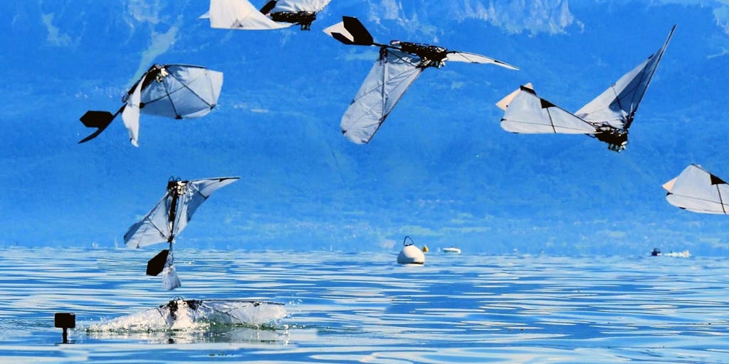 Robot bird swims underwater then flies away