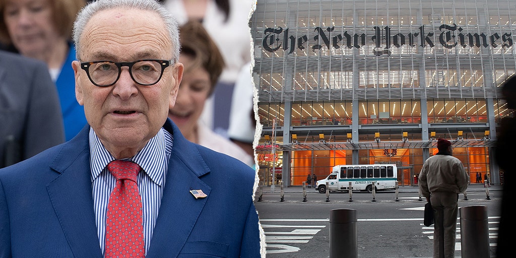 GOP senator accuses NYT of sitting on bombshell allegation to protect Schumer, Dems