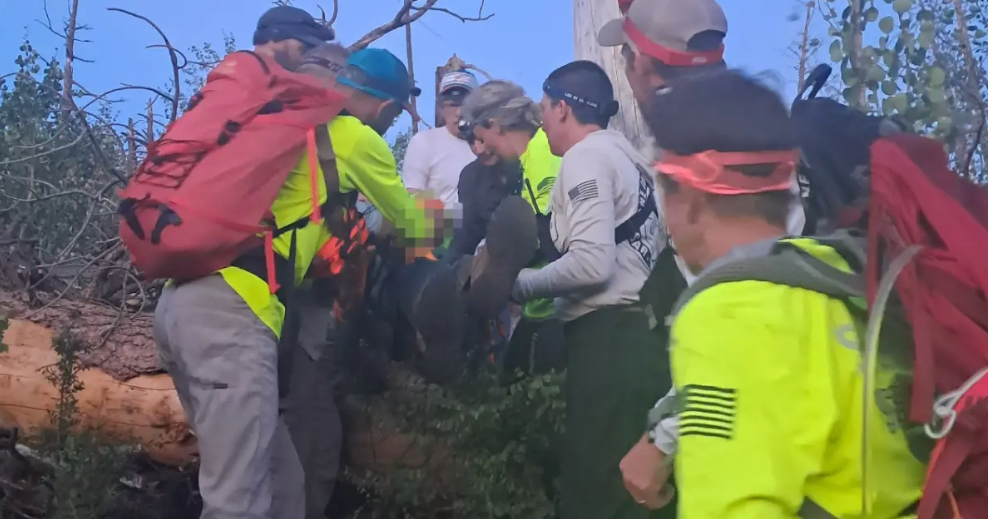 Man, 83, who went missing near Grand Canyon rescued after overnight search