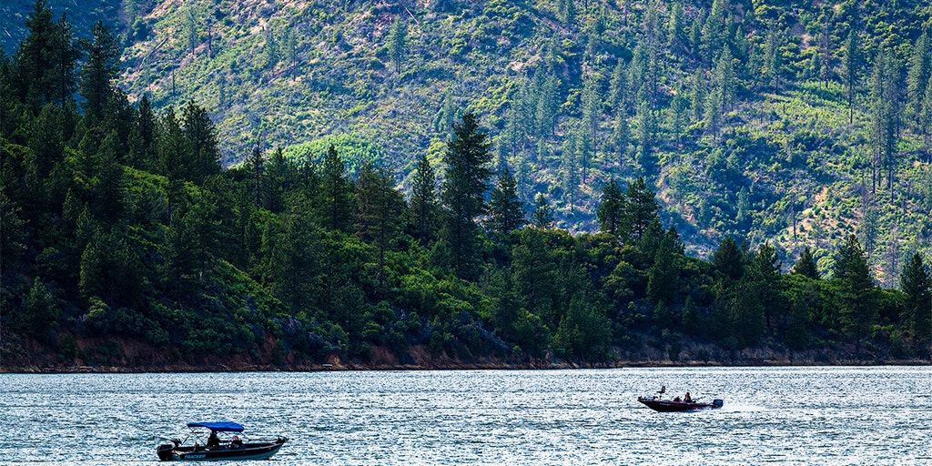 US forest service workers kidnapped, ziptied for hours by father-son duo: California AG