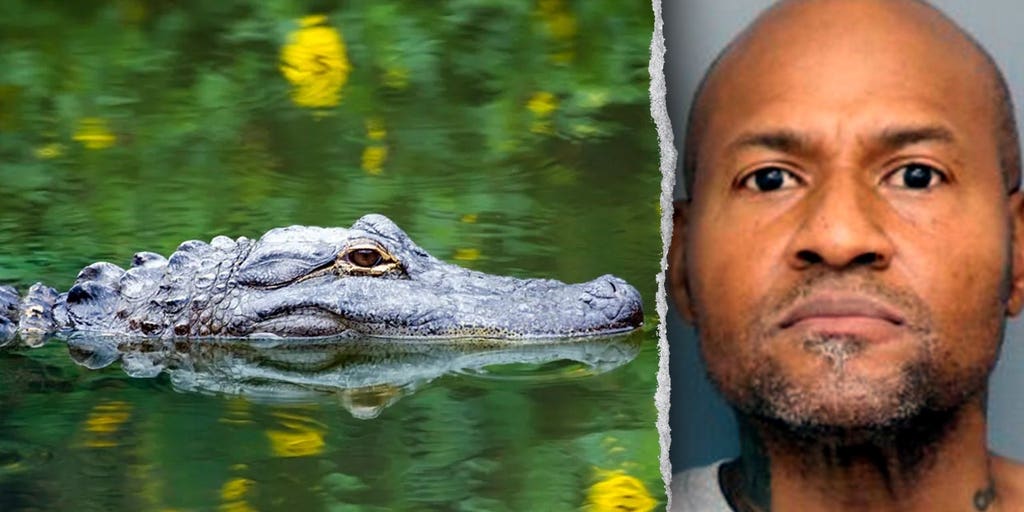 Officers in Maryland respond to reported assault, discover guns and unusual group of animals